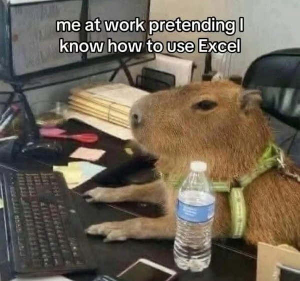 Funny Memes (23 pics)