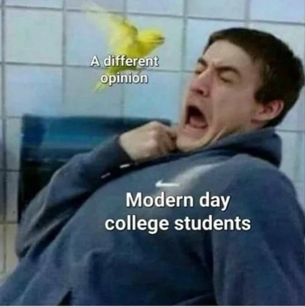 Truthful Memes (34 pics)