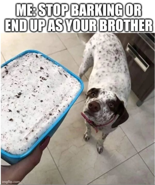 Random Memes (24 pics)