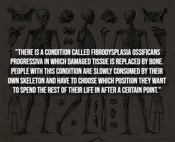 Creepy Facts (14 pics)