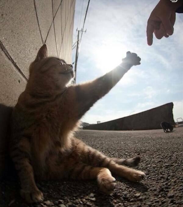 Jokes And Photos For Good Mood (18 pics)