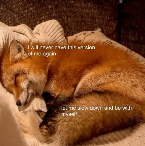 Jokes And Photos For Good Mood (18 pics)