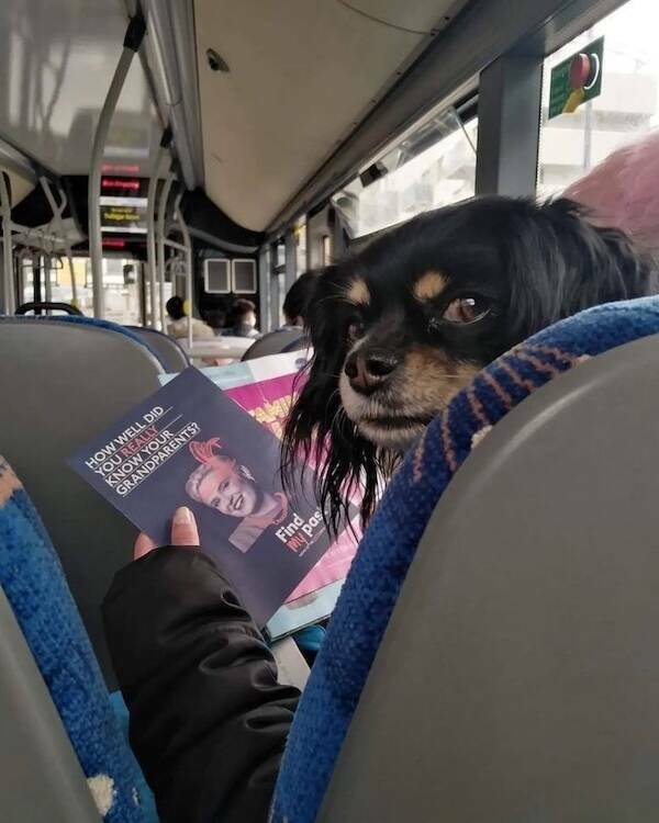 Jokes And Photos For Good Mood (18 pics)