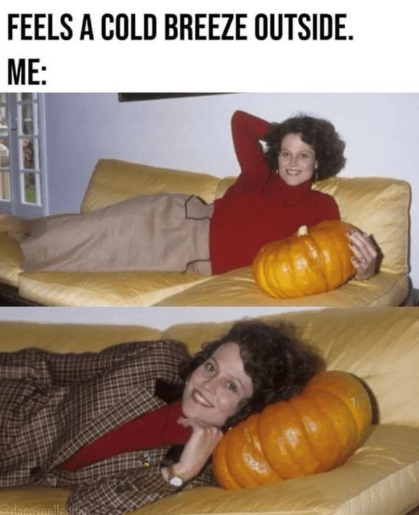 September Memes (30 pics)