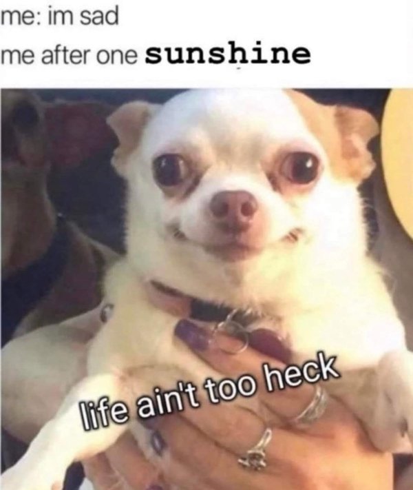 Random Jokes (35 pics)