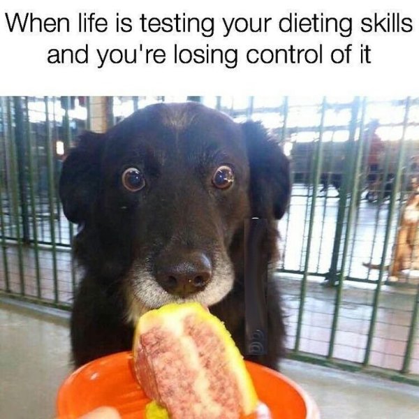 Random Jokes (35 pics)