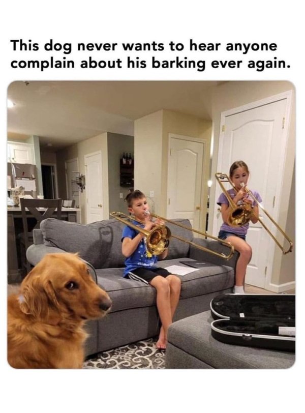 Random Jokes (35 pics)