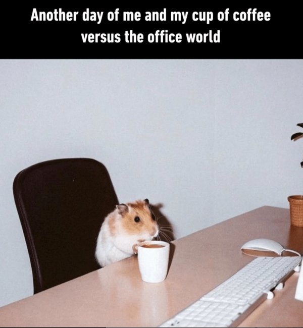 Random Jokes (35 pics)