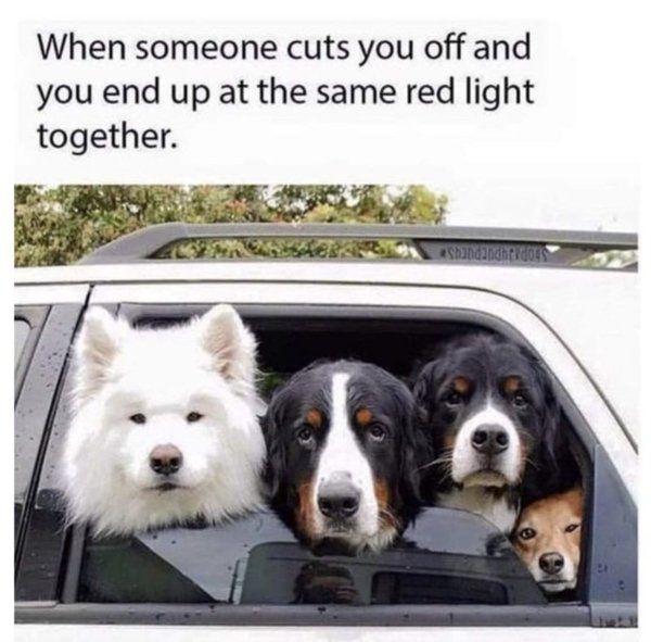 Random Jokes (35 pics)
