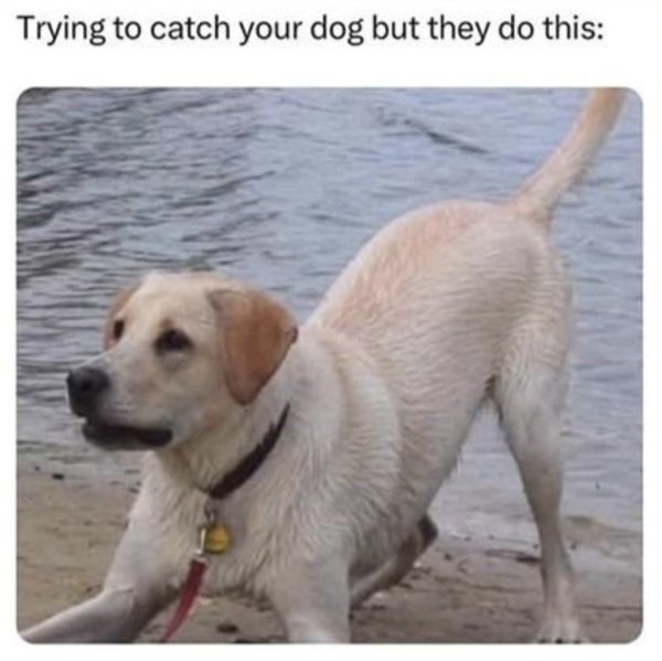 Random Jokes (35 pics)
