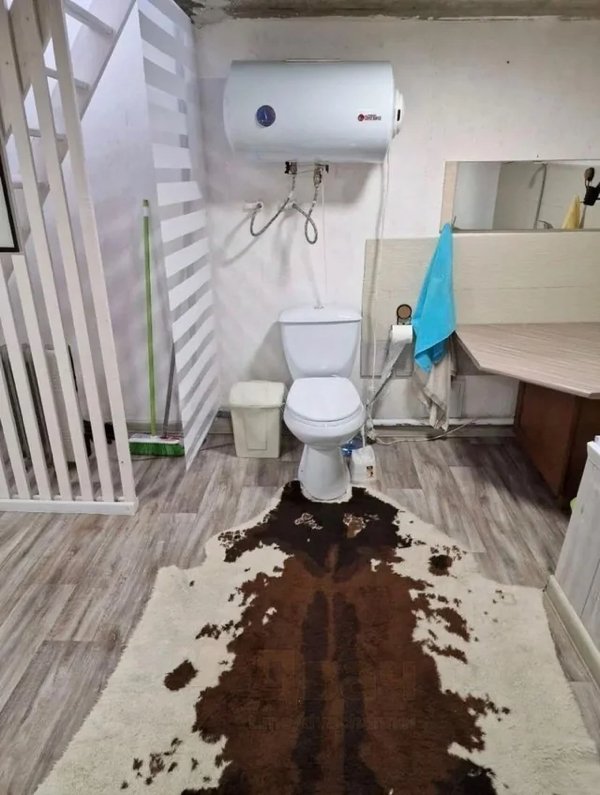 What Is Going On Here? (21 pics)