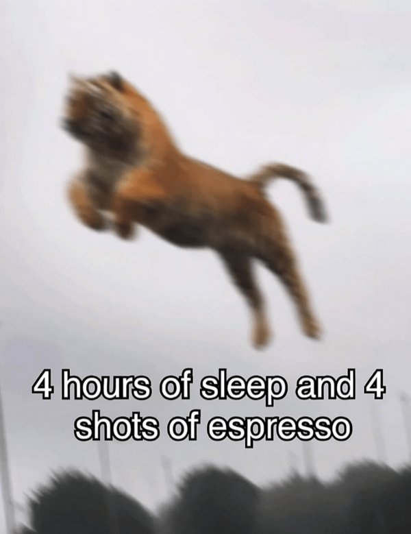 Random Jokes (35 pics)