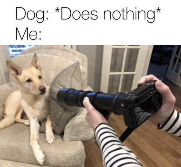 Random Jokes (35 pics)