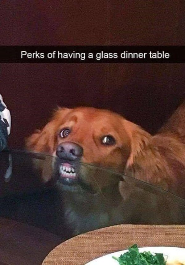 Random Jokes (35 pics)