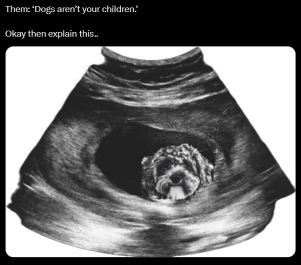 Random Jokes (35 pics)