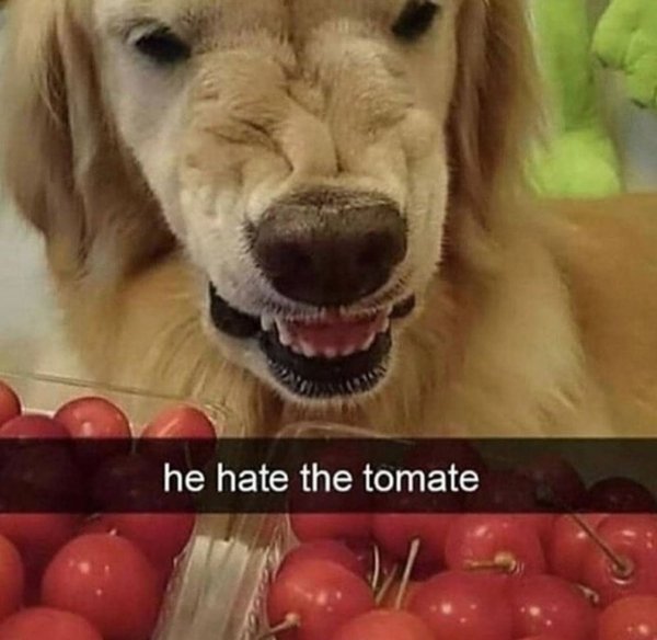 Random Jokes (35 pics)