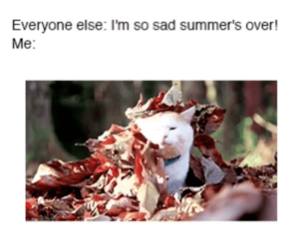 September Memes (30 pics)