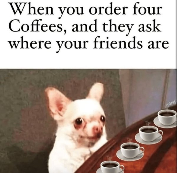 Random Jokes (35 pics)