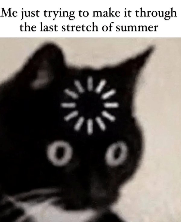 September Memes (30 pics)