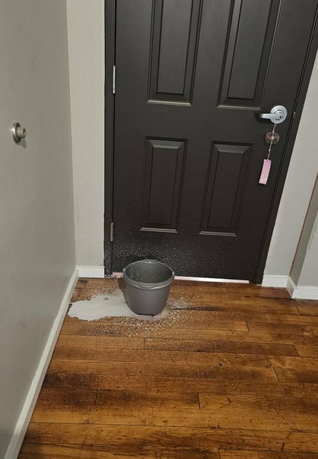Interesting Finds (20 pics)