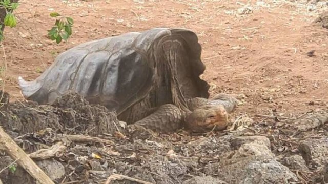 Unusual Things And Finds (21 pics)