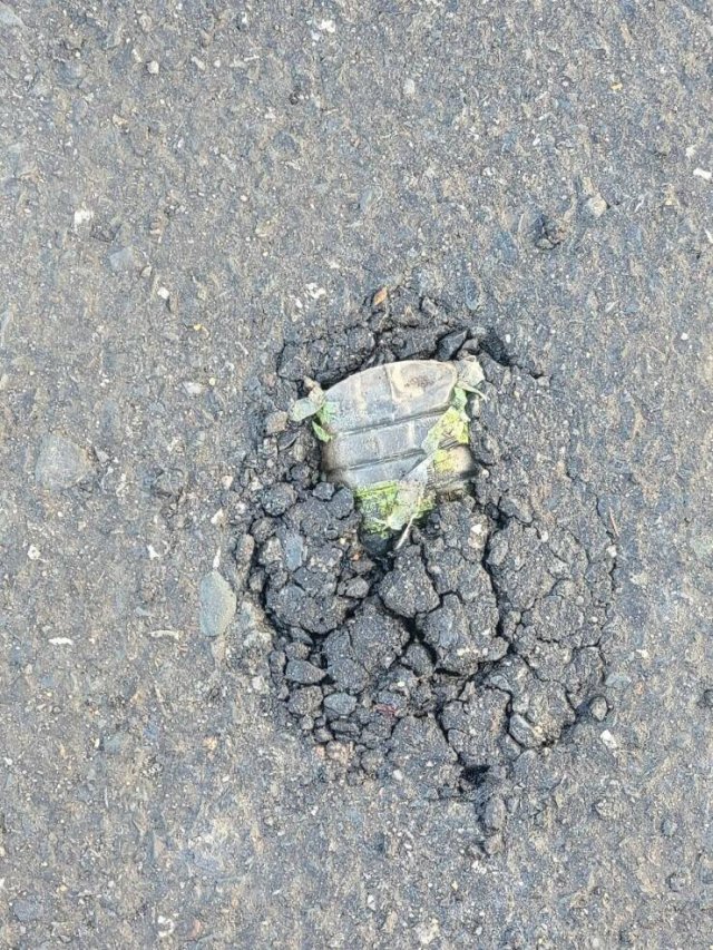 Interesting Finds (20 pics)
