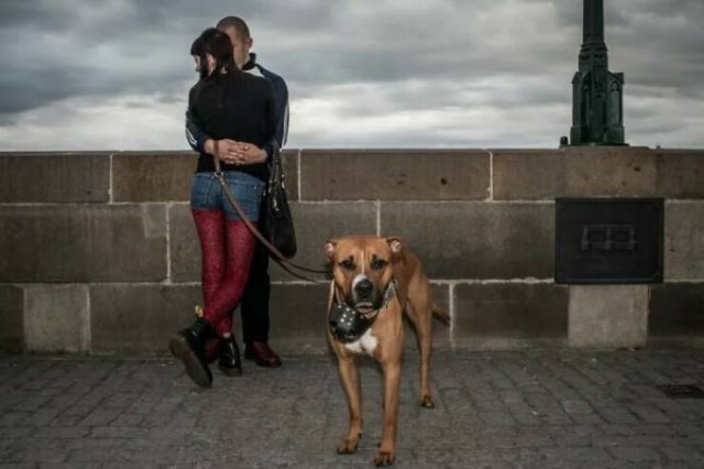 Positive Photos For A Good Mood (27 pics)
