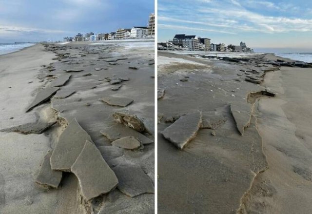 Unusual Finds On The Beach (20 pics)