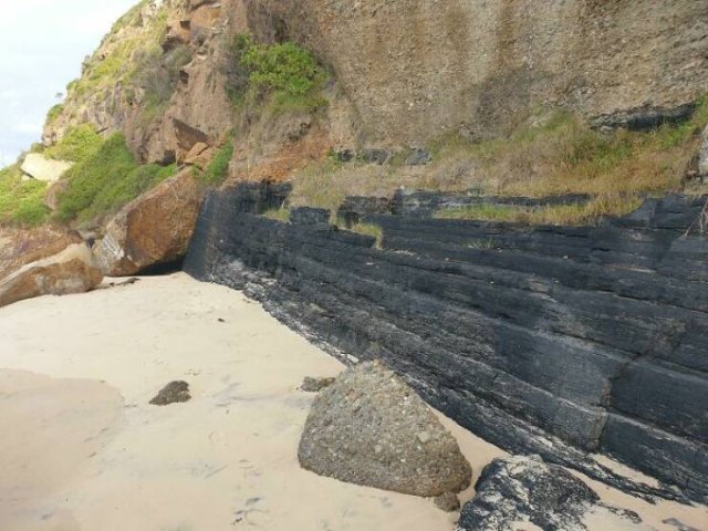 Unusual Finds On The Beach (20 pics)