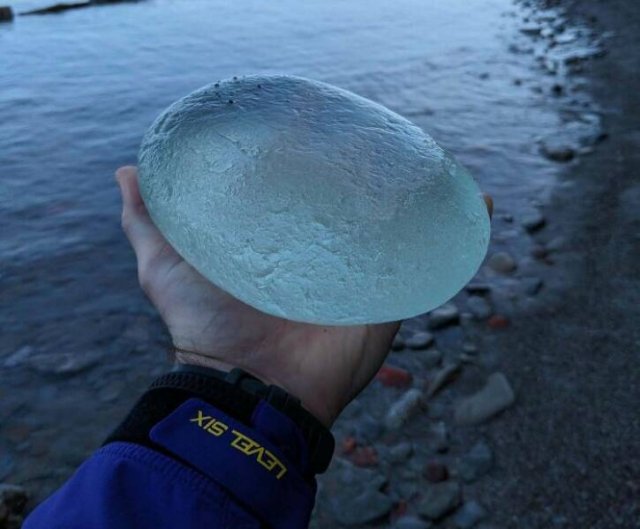 Unusual Finds On The Beach (20 pics)