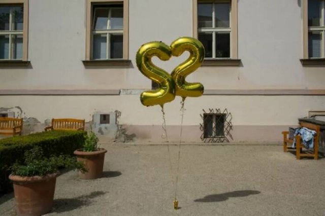 Positive Photos For A Good Mood (27 pics)