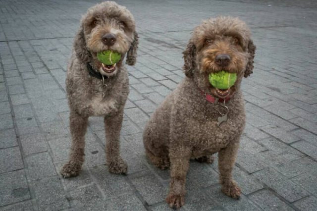 Positive Photos For A Good Mood (27 pics)