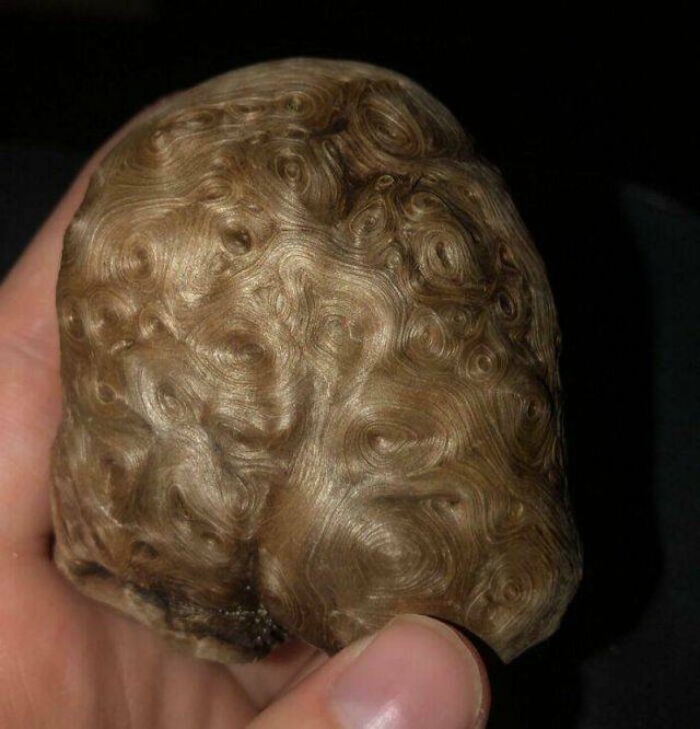 Unusual Finds On The Beach (20 pics)
