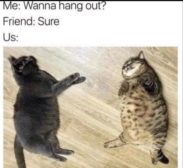 Funny Memes (22 pics)