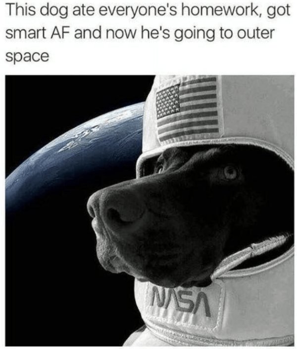 Funny Memes (22 pics)