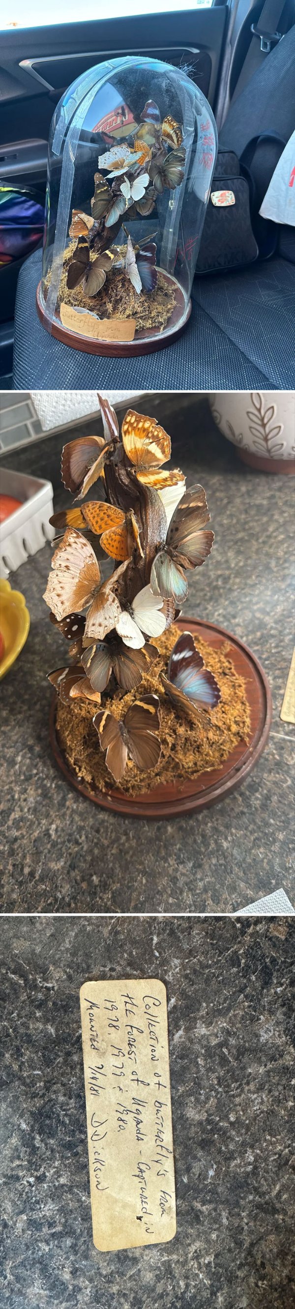 Cool Finds In Thrift Shops (29 pics)