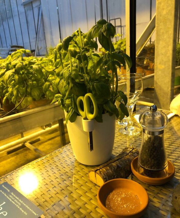 Useful Inventions In Cafes And Restaurants  (25 pics)