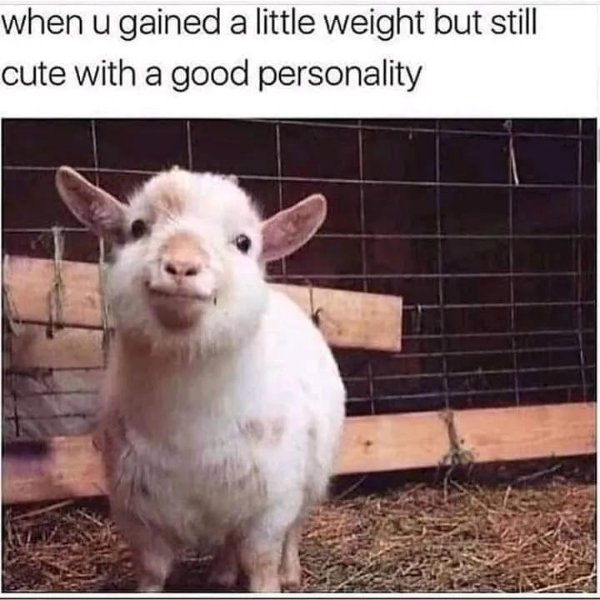 Funny Memes (22 pics)