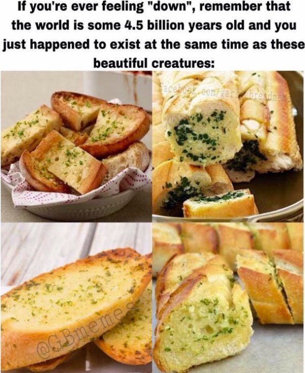 Funny Memes (22 pics)