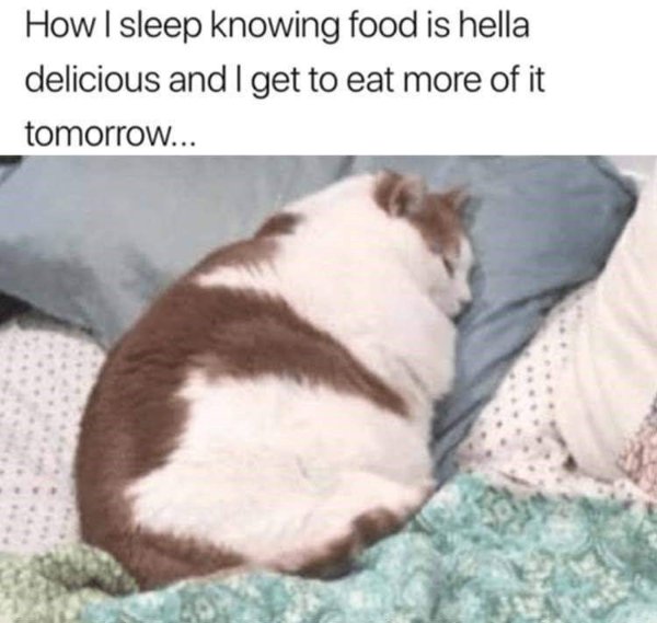 Funny Memes (22 pics)