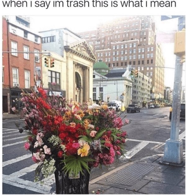 Funny Memes (22 pics)