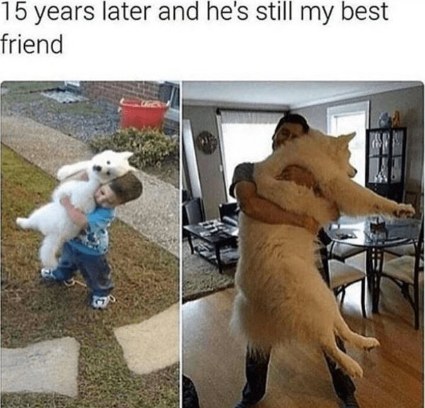 Funny Memes (22 pics)