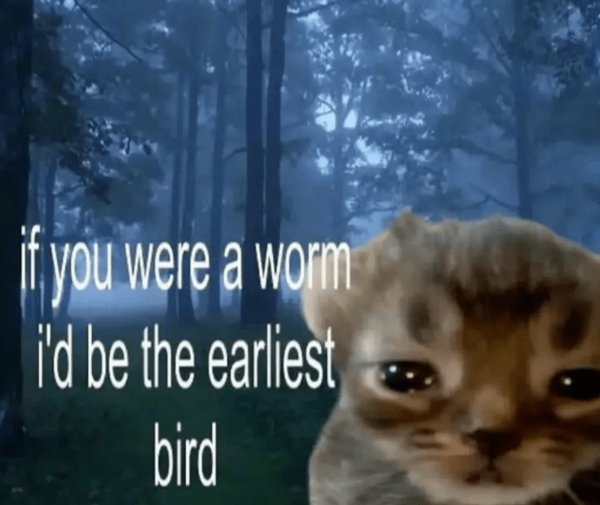 Funny Memes (22 pics)