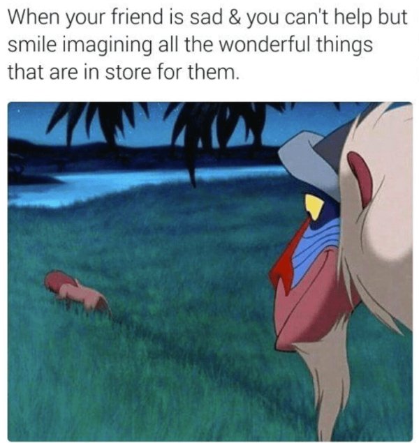 Funny Memes (22 pics)