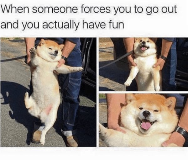 Funny Memes (22 pics)