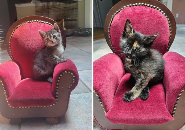 Cool Finds In Thrift Shops (29 pics)