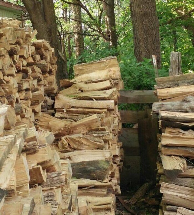 Accidental Camouflage (24 pics)