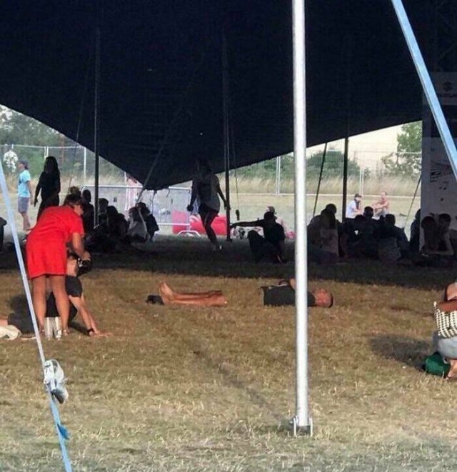 Accidental Camouflage (24 pics)