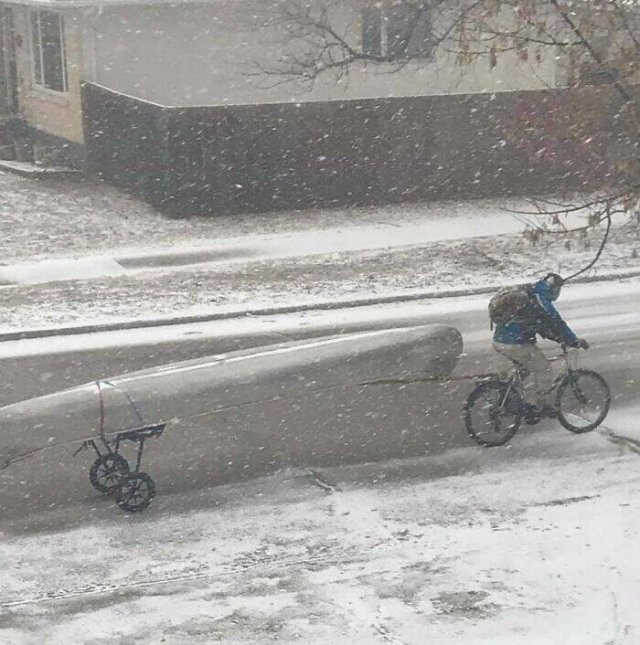 Accidental Camouflage (24 pics)