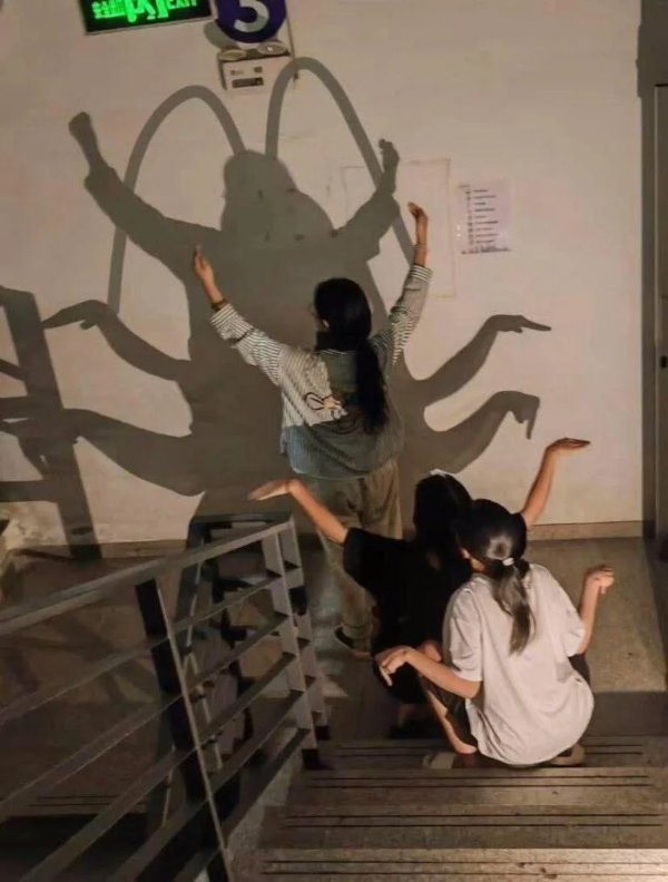 Strange Finds And Situations  (31 pics)